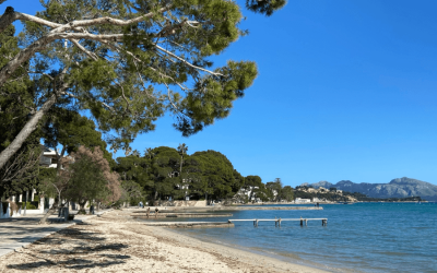 Top 10 Resorts in Mallorca in 2024