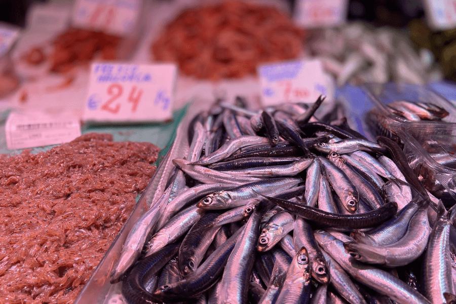  Mercat Olivar Fish Market Palma de Mallorca