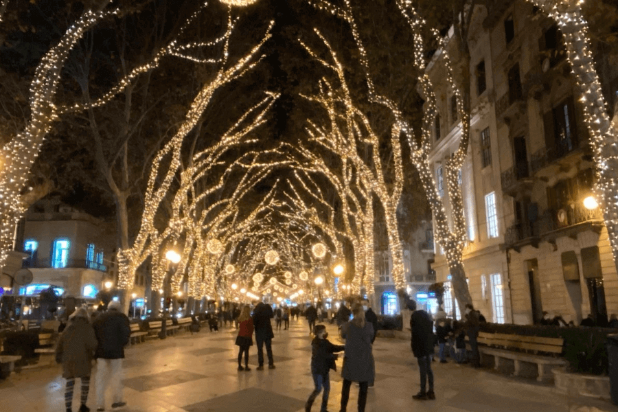 christmas lights paseo del bourne mallorca