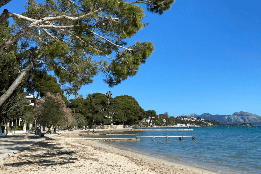 top 10 beach resorts in mallorca