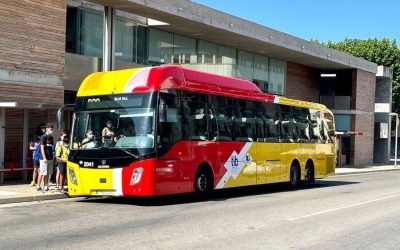 How to take the TIB bus in Mallorca 2024