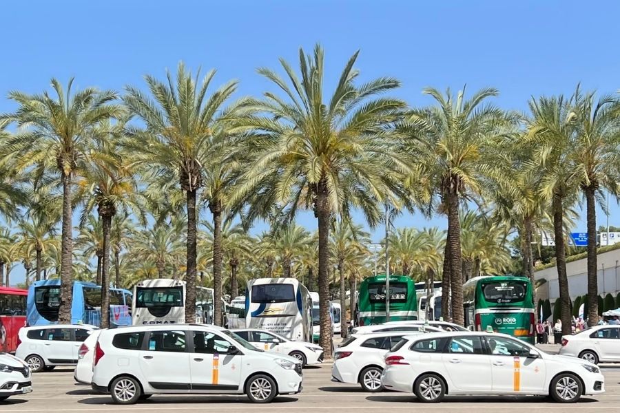 A guide to taking a taxi in Mallorca