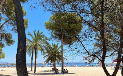 How much is Eco Tax in Mallorca in 2023?