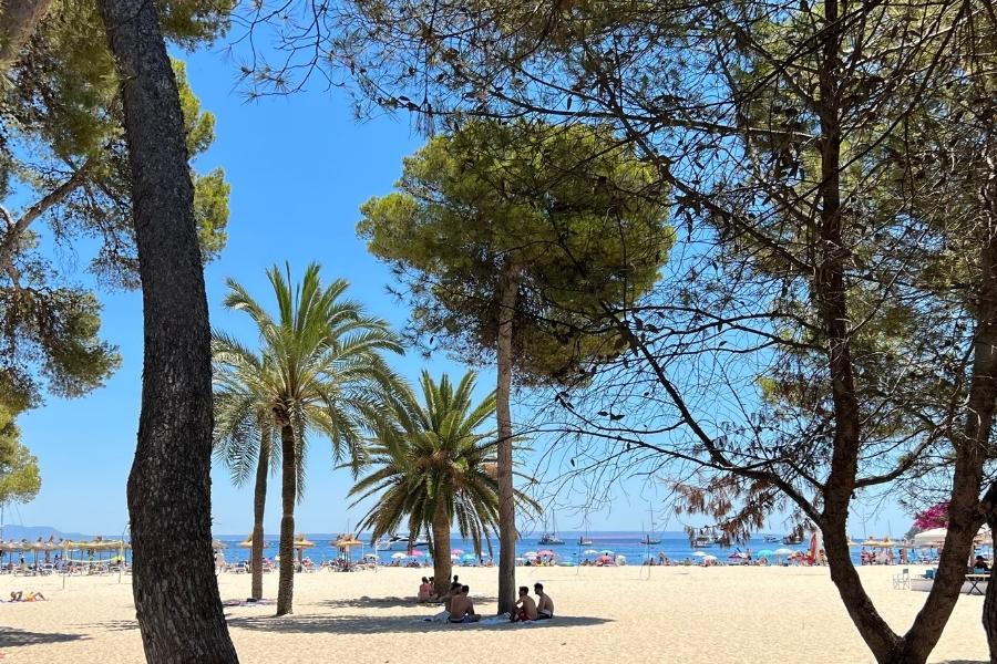 How much is Eco Tax in Mallorca