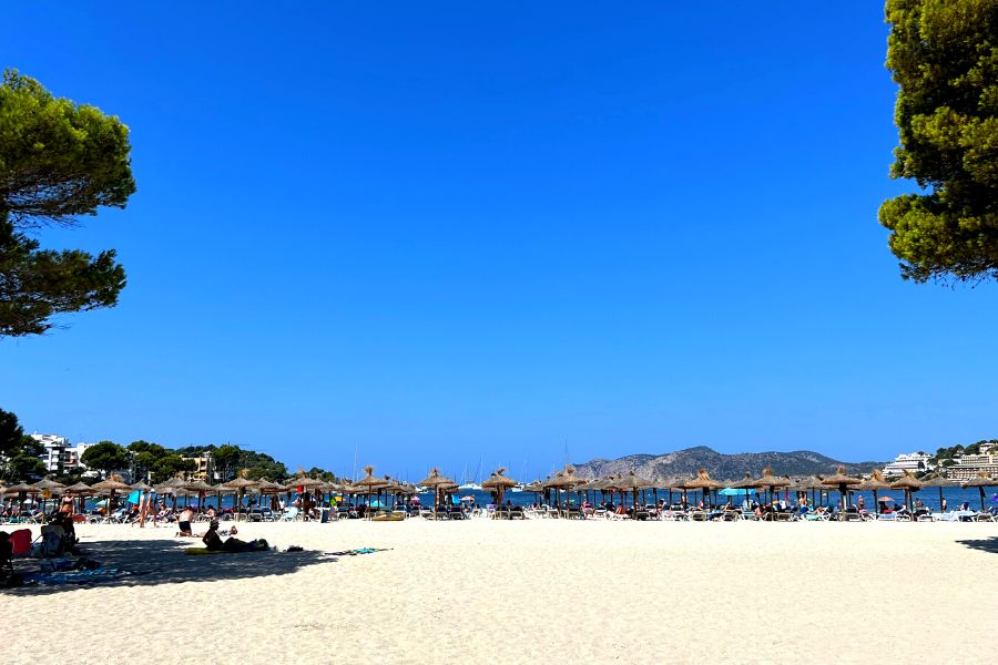22 reasons to visit Santa Ponsa in Mallorca