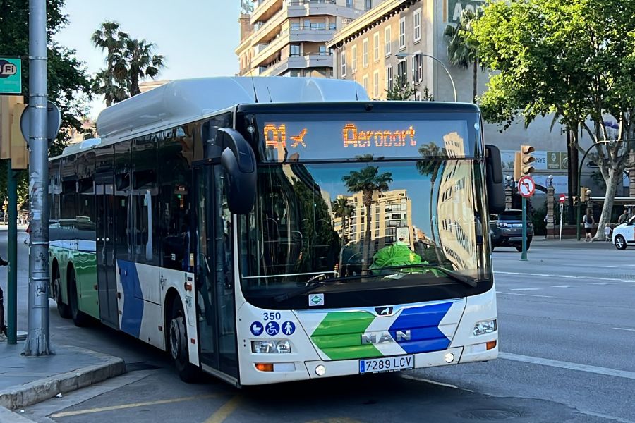 Guide to EMT Palma buses