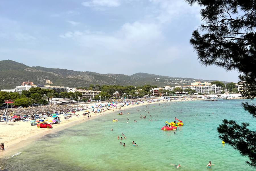 Green Sea in Mallorca?
