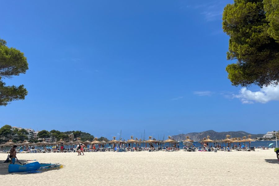 Mallorca in August