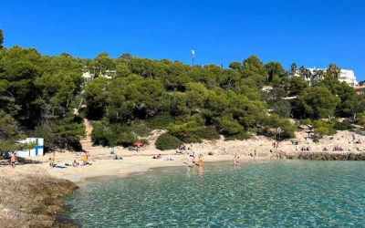 A Holiday Guide to Mallorca in December 2023