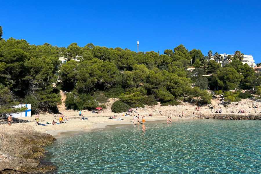 A Holiday Guide to Mallorca in December 2023